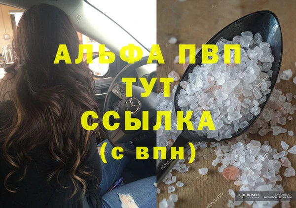 сатива Горняк