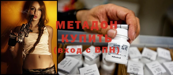 сатива Горняк