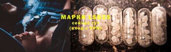 сатива Горняк