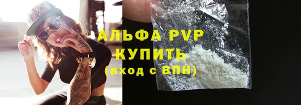 сатива Горняк