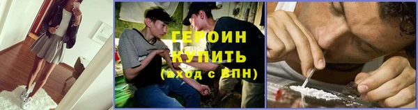 сатива Горняк