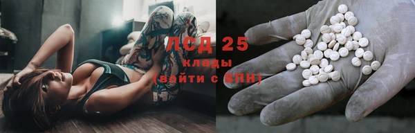сатива Горняк