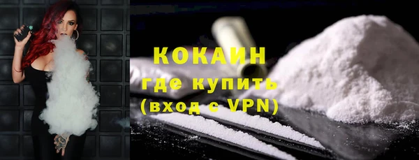 сатива Горняк