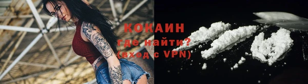 сатива Горняк