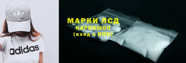 сатива Горняк