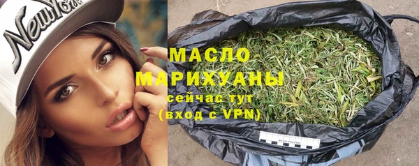 сатива Горняк