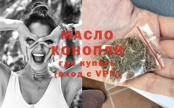 сатива Горняк