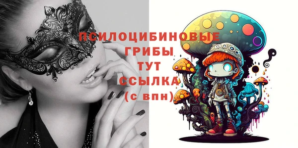 дурь Горнозаводск