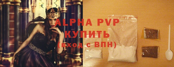 сатива Горняк