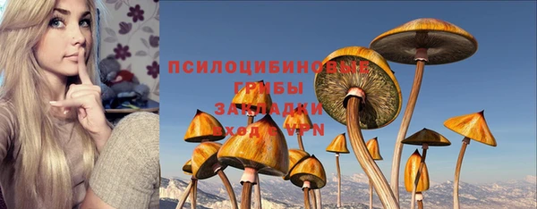 сатива Горняк